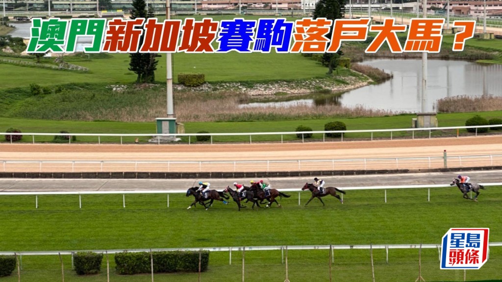 雪蘭莪馬會現正興建新馬房,以便屆時接收來自澳門和新加坡的賽駒。