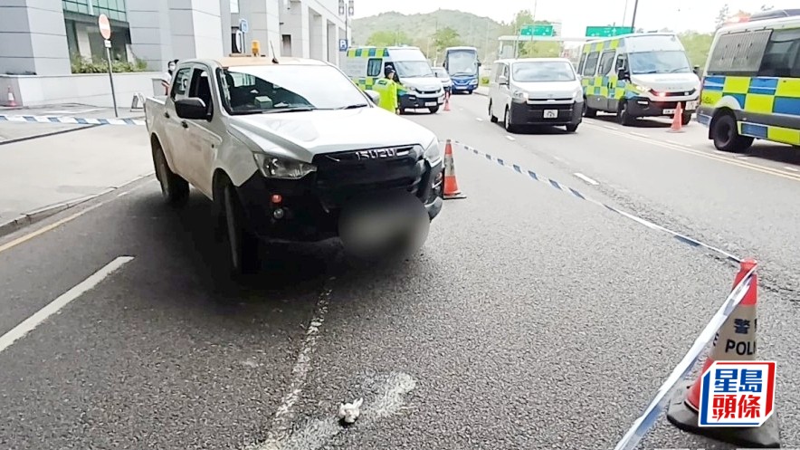 被告張智誠涉駕車於東薈城外撞傷兩途人被控危駕罪。資料圖片