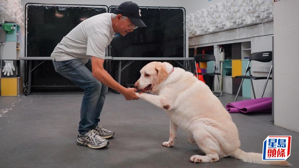 犬隻行為顧問及訓犬師蔡易儕強調，負責任的主人要理解犬隻需要，同時為牠設立合適界線。