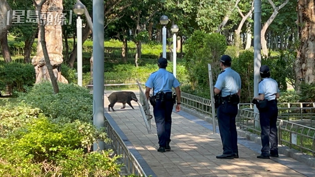 警員手持盾牌戒備。 警員手持盾牌戒備。