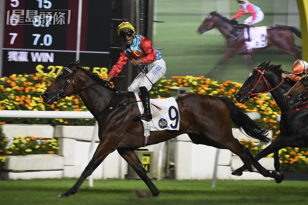 大衛希斯表示「嘉應高昇」將出戰開鑼日一班千二米特首盃，目標是十二月香港短途錦標。