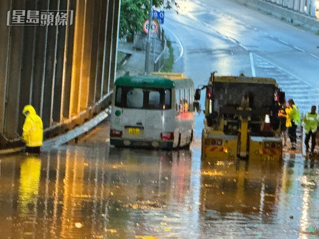 荃錦交匯處通往象鼻山路的支路水浸。