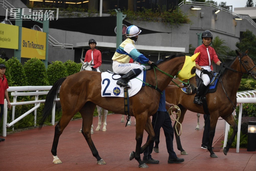 「壯志凌雲」之前在澳門服役，來港後再名為「手到齊來」，由伍鵬志訓練，周日出爭第十場二班千二米。