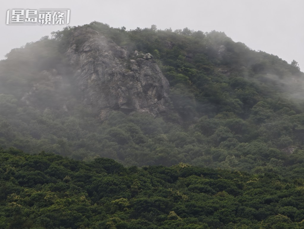 現場是馬鞍山郊野公園。 現場是馬鞍山郊野公園。
