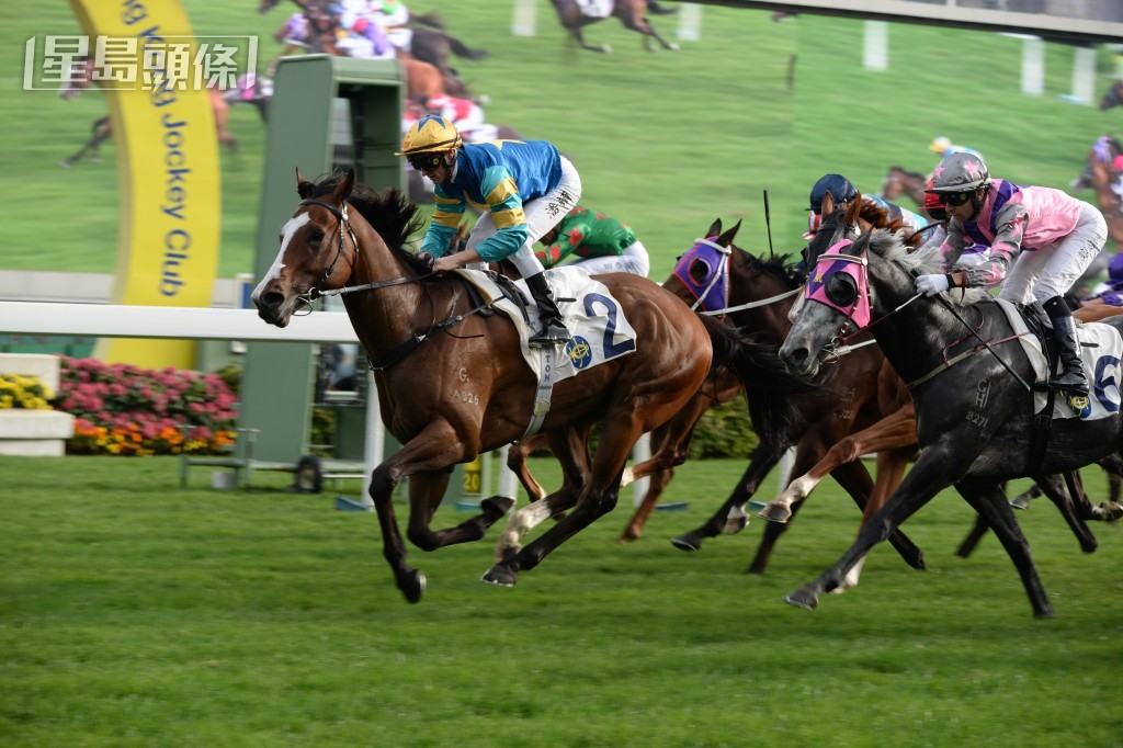 蔡黃玲玲名下的「威進駒」，也是交由呂健威訓練，馬兒在港取得五場頭馬，表現出色。