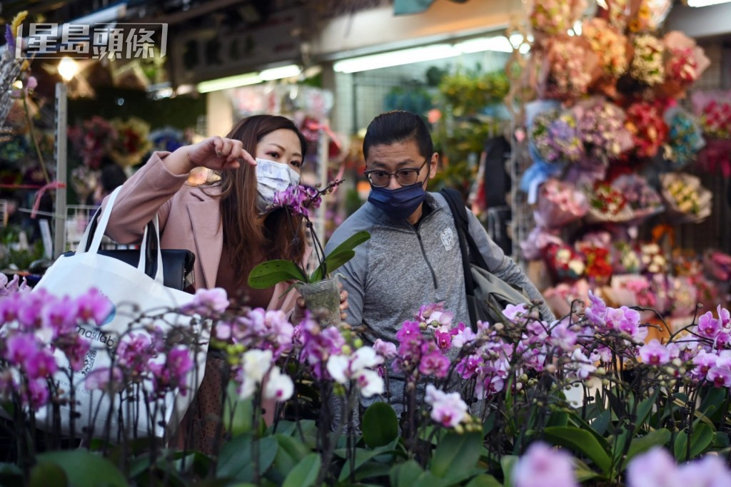 不少人愛到花墟選購年花。資料圖片 不少人愛到花墟選購年花。資料圖片