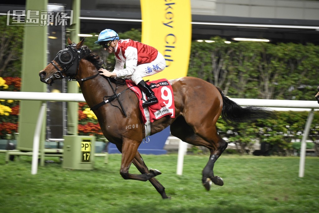 「萬眾開心」周三將出戰第八場谷草一千米。