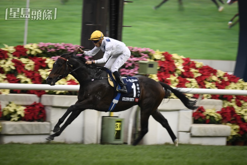 「金鎗六十」贏盡大賽，破盡紀錄，競賽生涯三十一戰二十六次頭馬，總獎金逾1.67億。