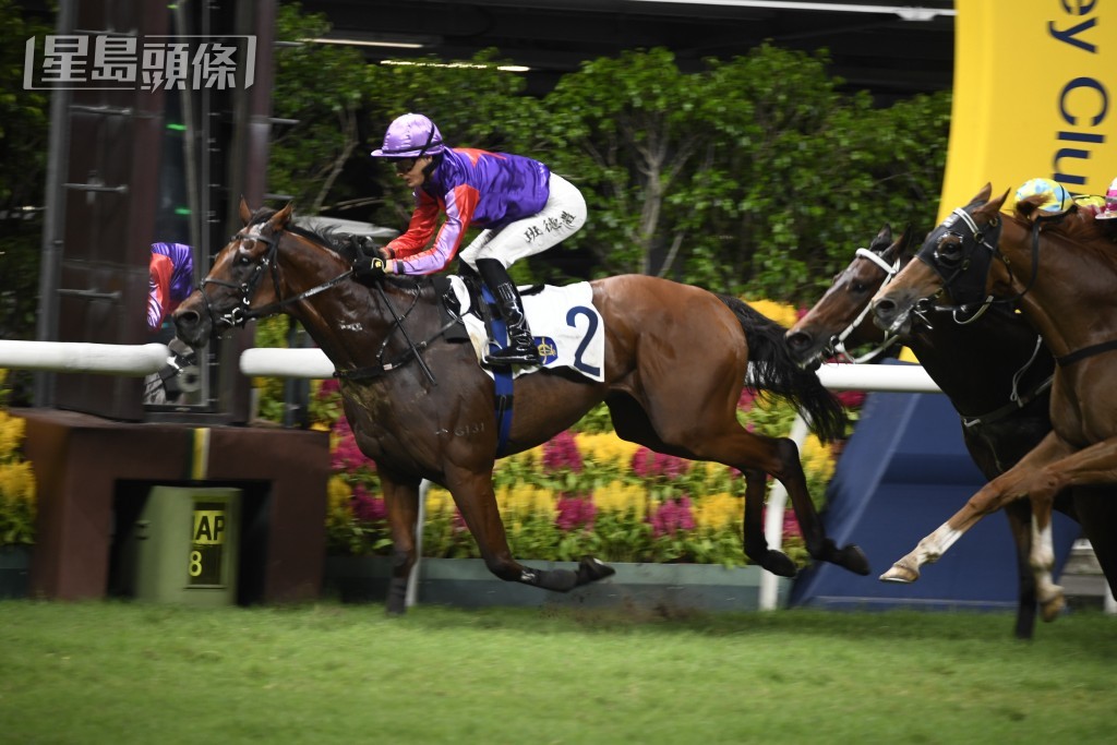 班德禮表示「飛漲」上季初贏谷草千六那役難度甚高，所以季尾再贏絕不意外，新季牠仍有進步，有望續贏頭馬。