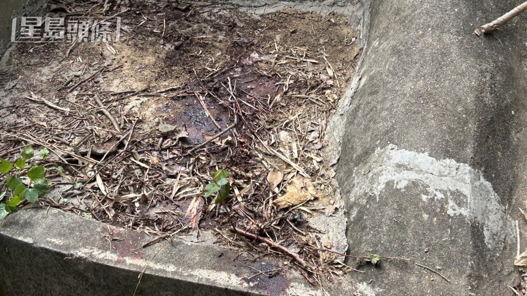 墳頭附近遺下大灘血迹。