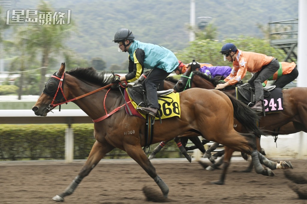 庞熙霆名下的「精算暴雪」，历来取得四赢四位佳绩。