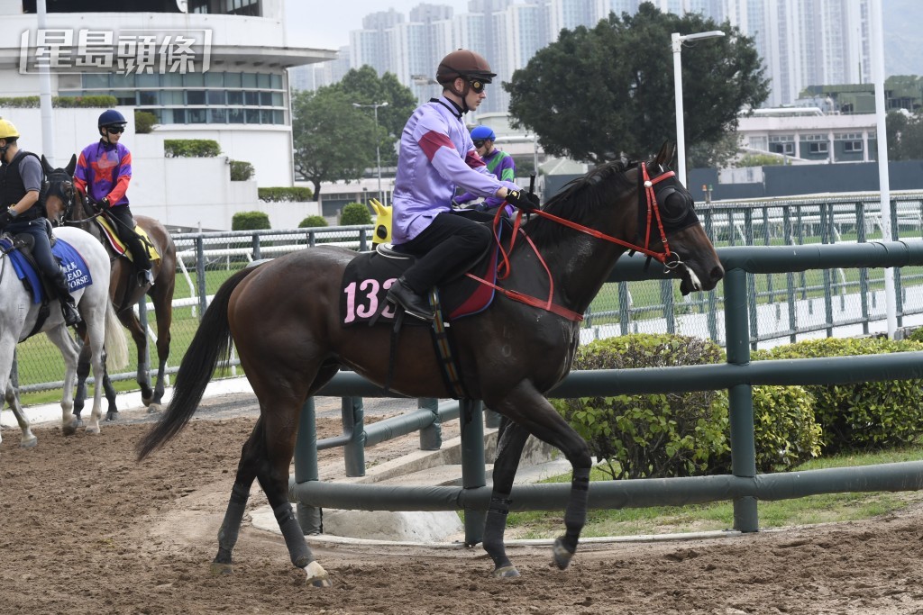  本周三（十月二十三日）將跑沙田全泥宴，賀銘年暫時卜定「德心知遇」(圖) 和「世界籐王」。
