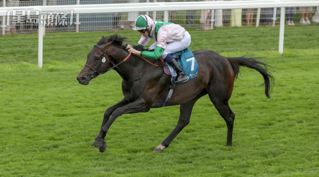 「星迷」在白祈达训练下已胜出六仗。