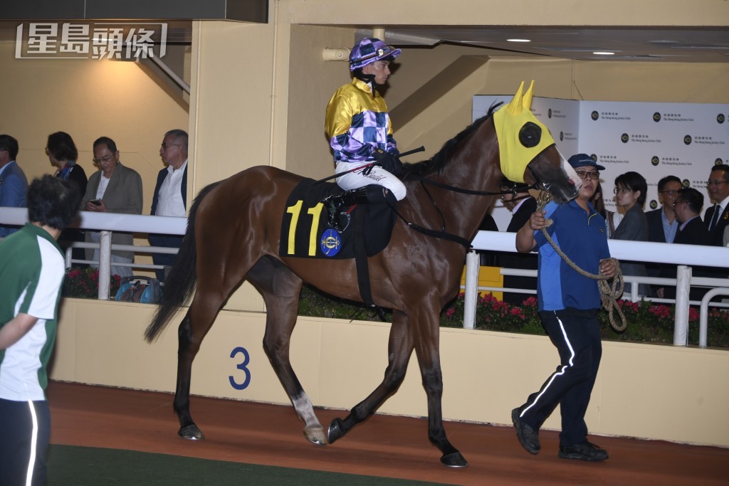 李子彬認為「真好運」上仗主要的敗因是陣上的際遇不太好，取位欠順，找不到有利位置。