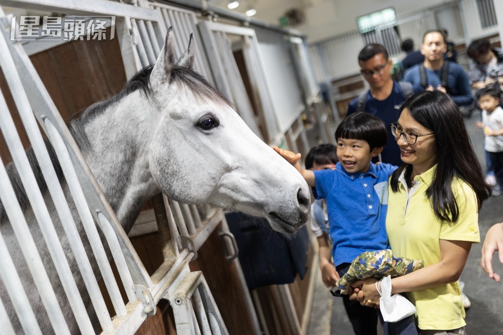 馬會屯門公眾騎術學校將於11月10日舉行開放日。