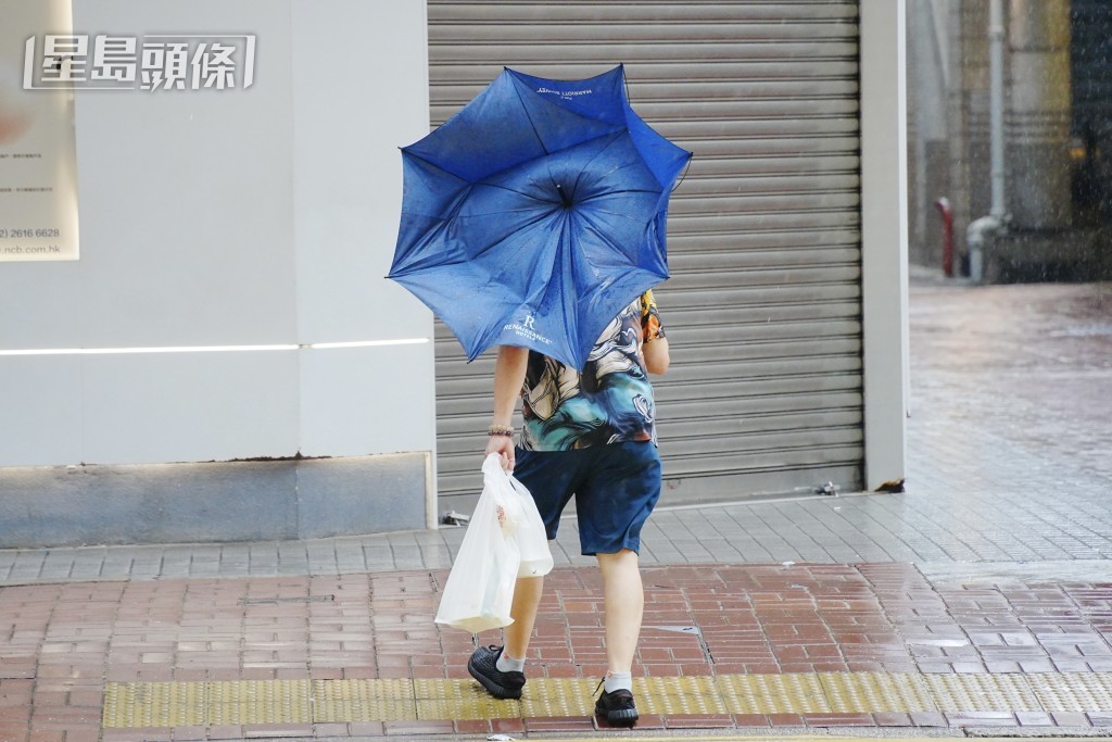 風勢強大吹反雨遮。汪旭峰攝 風勢強大吹反雨遮。汪旭峰攝
