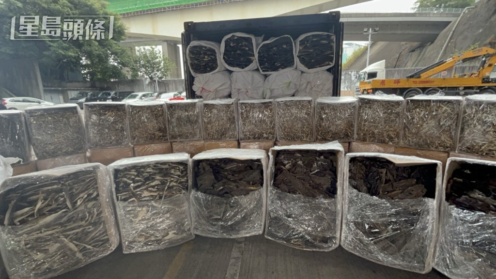 海关检获4200公斤受管制干鲨鱼皮。杨伟亨摄 海关检获4200公斤受管制干鲨鱼皮。杨伟亨摄