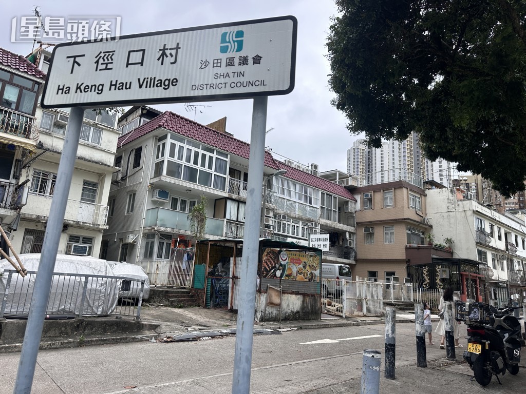 兩貓被棄於下徑口村。梁國峰攝 兩貓被棄於下徑口村。梁國峰攝
