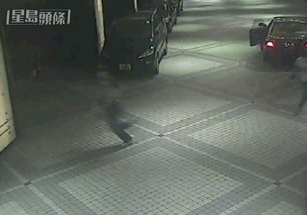車輛停於泰龍旁邊,有人落車觀看泰龍被斬過程,之後離開。 車輛停於泰龍旁邊,有人落車觀看泰龍被斬過程,之後離開。