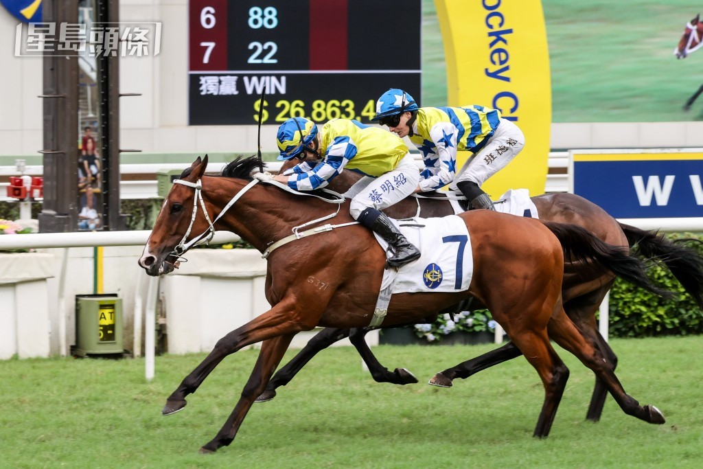 「當年情」(外) 於皇太后紀念盃力克「錶之五知」(內) 獲勝。 「當年情」(外) 於皇太后紀念盃力克「錶之五知」(內) 獲勝。