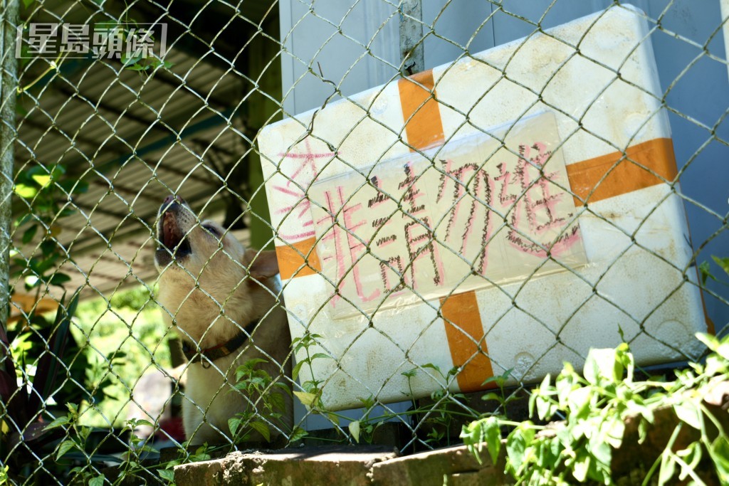 宿舍外有「非請勿進內有惡犬」警告標語。劉駿軒攝