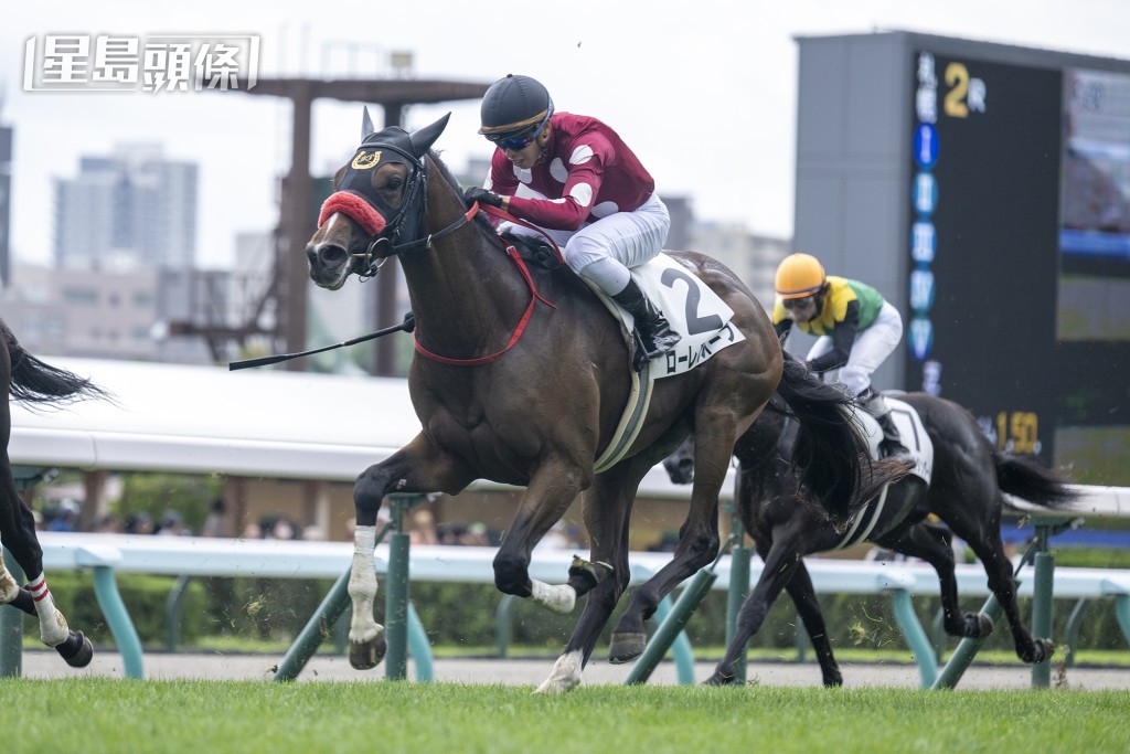 何泽尧伙拍Laurel Orb在札幌竞马场的一项1800米赛事取得胜利。