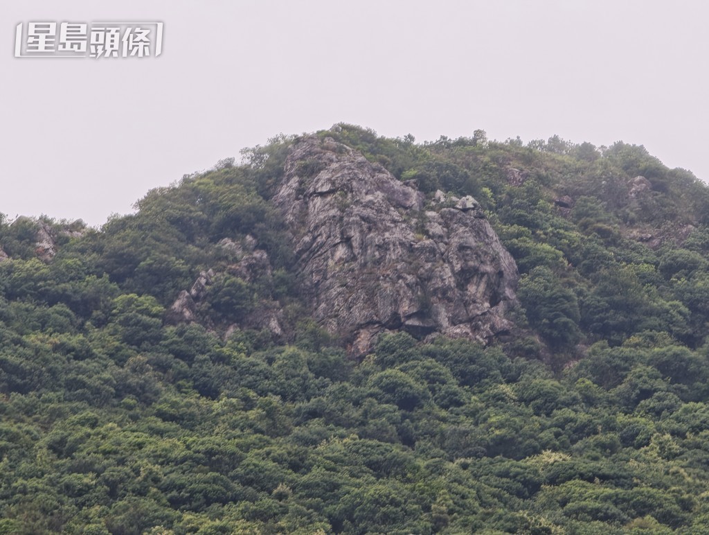 一度失蹤的加籍交換生,到馬鞍山郊野公園行山。 一度失蹤的加籍交換生,到馬鞍山郊野公園行山。
