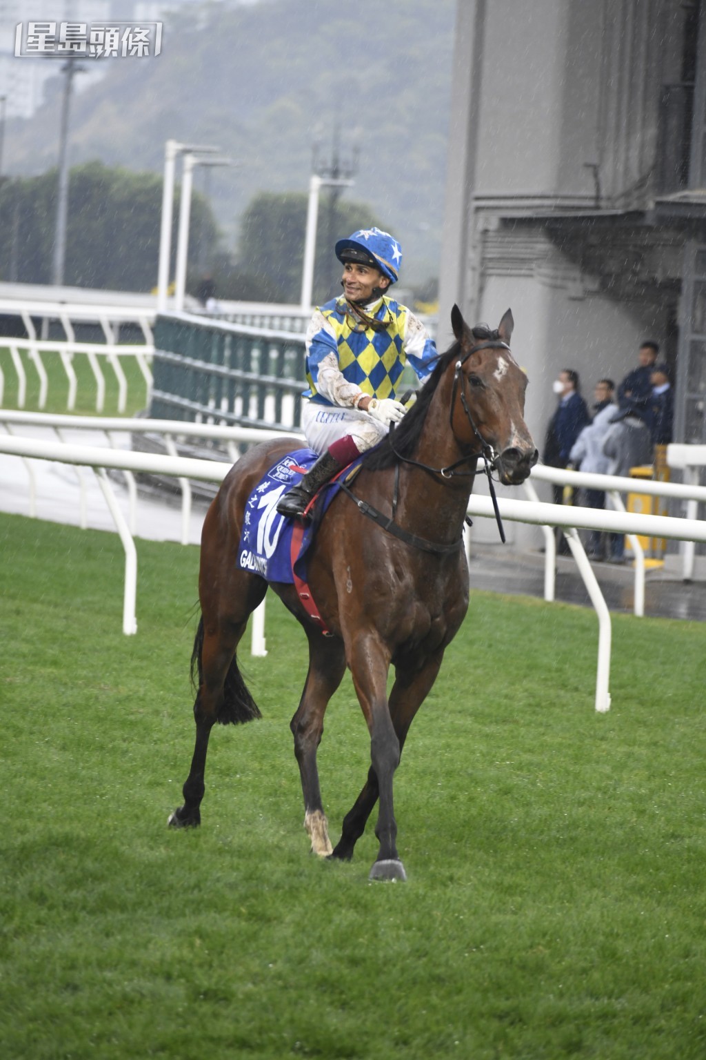 由於「錶之銀河」上場表現不錯，所以馬主決定延遲加入報名打吡。