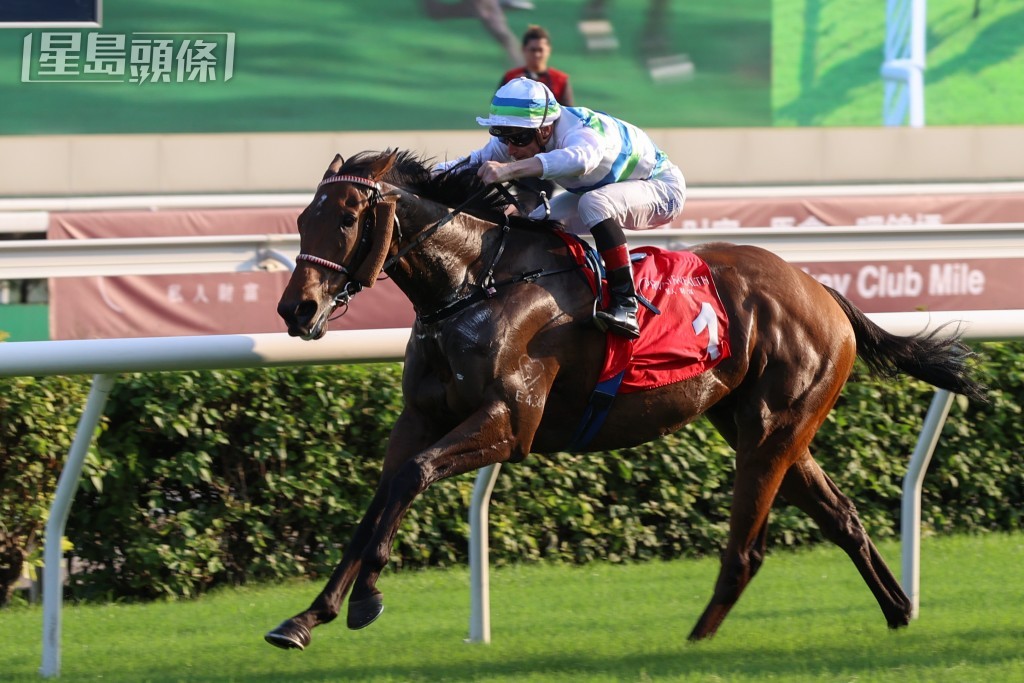 「遨遊氣泡」今仗將自第五檔起步，盼可延續強勢力壓同場十三匹良駒奪魁。