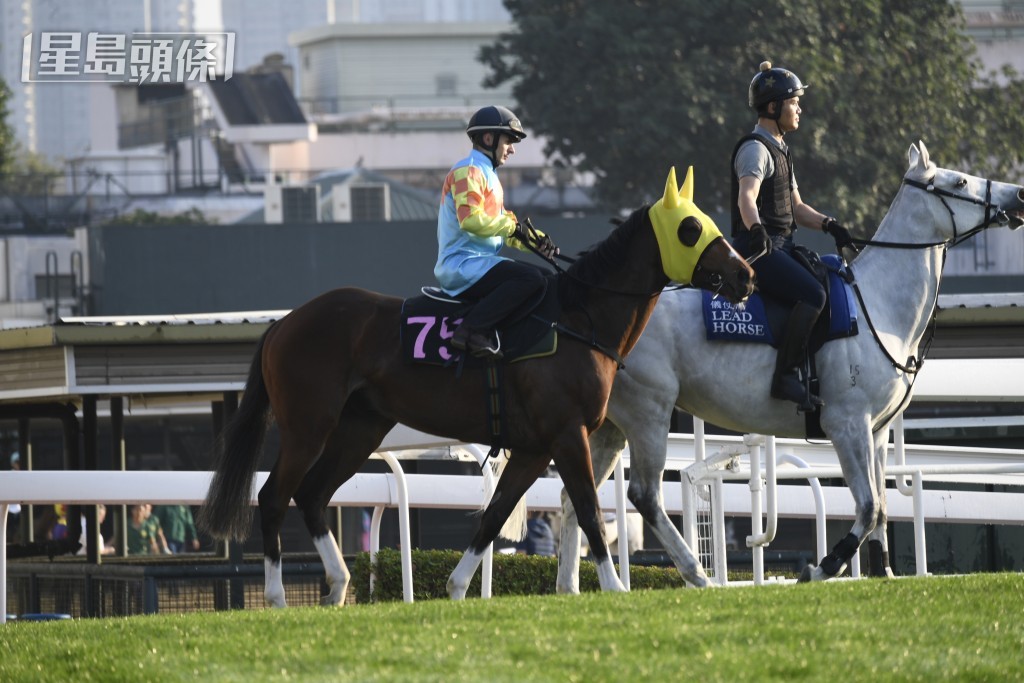 「嘉應傳承」在元旦賽馬日尾場初次登場。