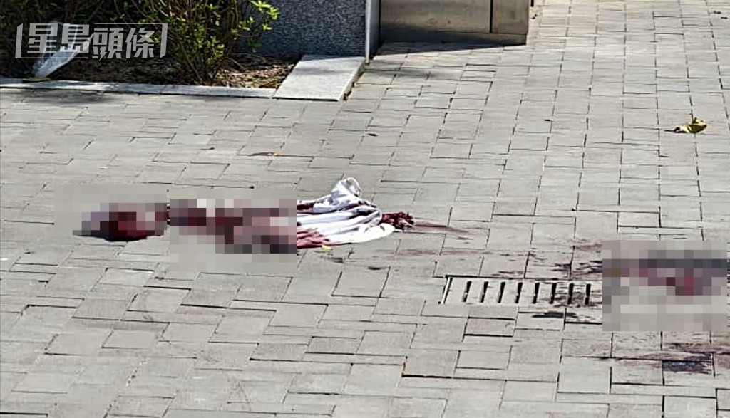 地上遺下大灘血漬。