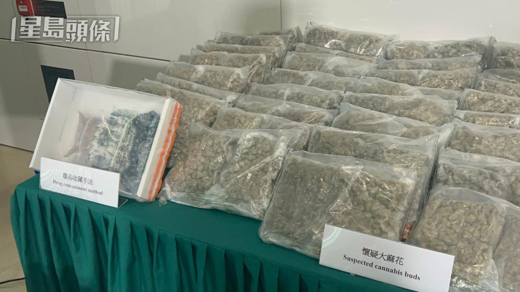 檢獲的大麻花重81.2公斤。