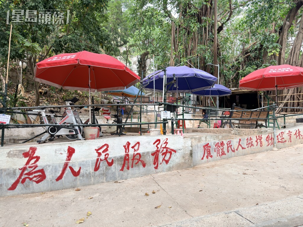 主教山一帶山坡長期被非法開墾僭建。梁國峰攝