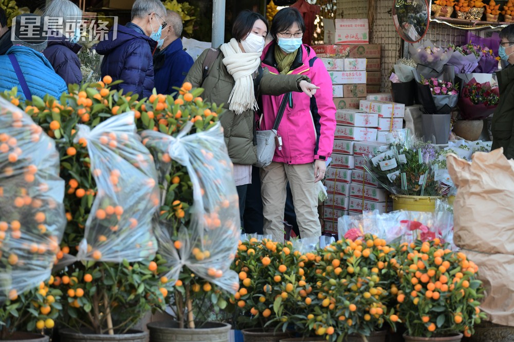 花墟人頭湧湧,市民趕辦年花。資料圖片 花墟人頭湧湧,市民趕辦年花。資料圖片