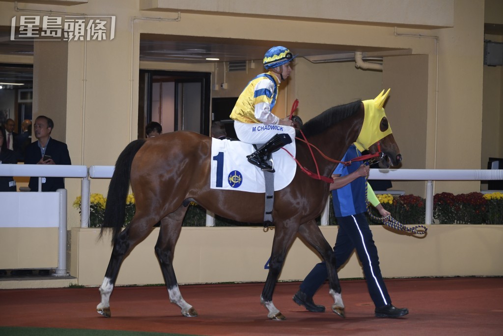 「智勁駒」轉馬房後表現比前有進，換上鍾易禮減磅上陣不妨留意。
