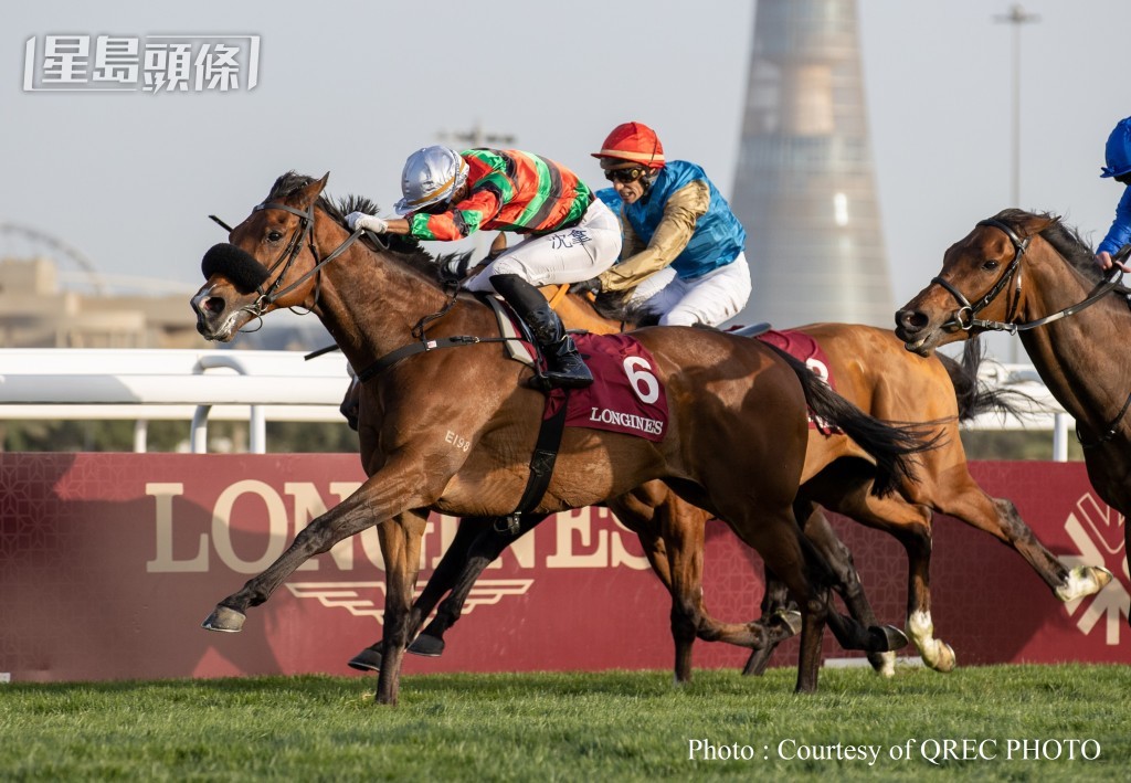 「將王」去年在卡塔爾締創歷史。 「將王」去年在卡塔爾締創歷史。