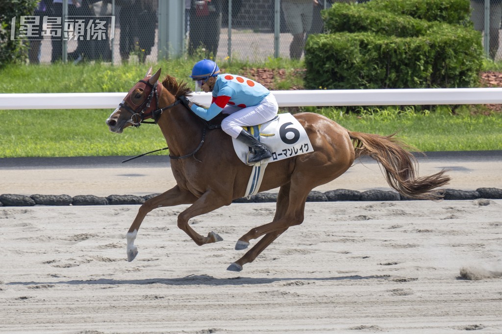 Roman Lake在何澤堯胯下以出色的表現,勝出在札幌競馬場舉行的一項1700米泥地賽事。 Roman Lake在何澤堯胯下以出色的表現,勝出在札幌競馬場舉行的一項1700米泥地賽事。