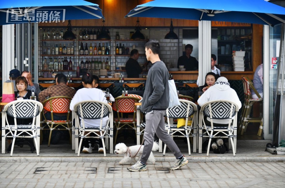 現時越來越狗主喜歡帶寵物外出。資料圖片