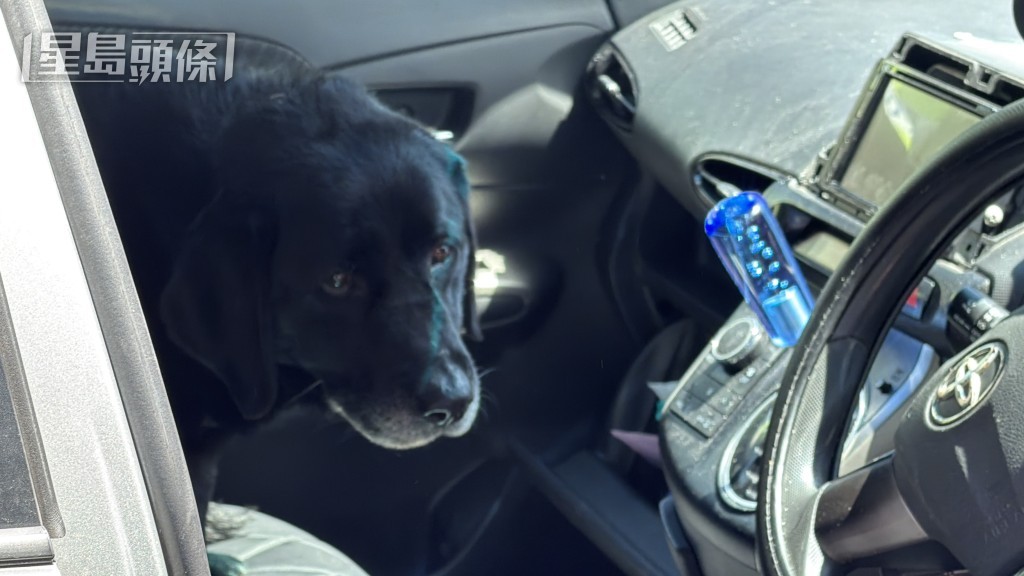 緝毒犬到場搜查車輛。