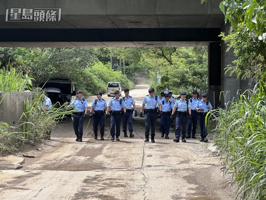 機動部隊在場作地氈式搜索。 機動部隊在場作地氈式搜索。