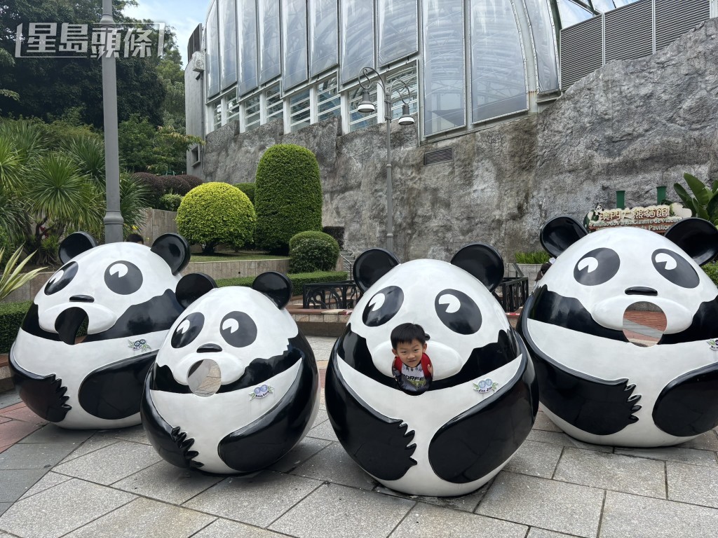大熊貓館外打卡位置眾多。（圖片來源：《親子王》）