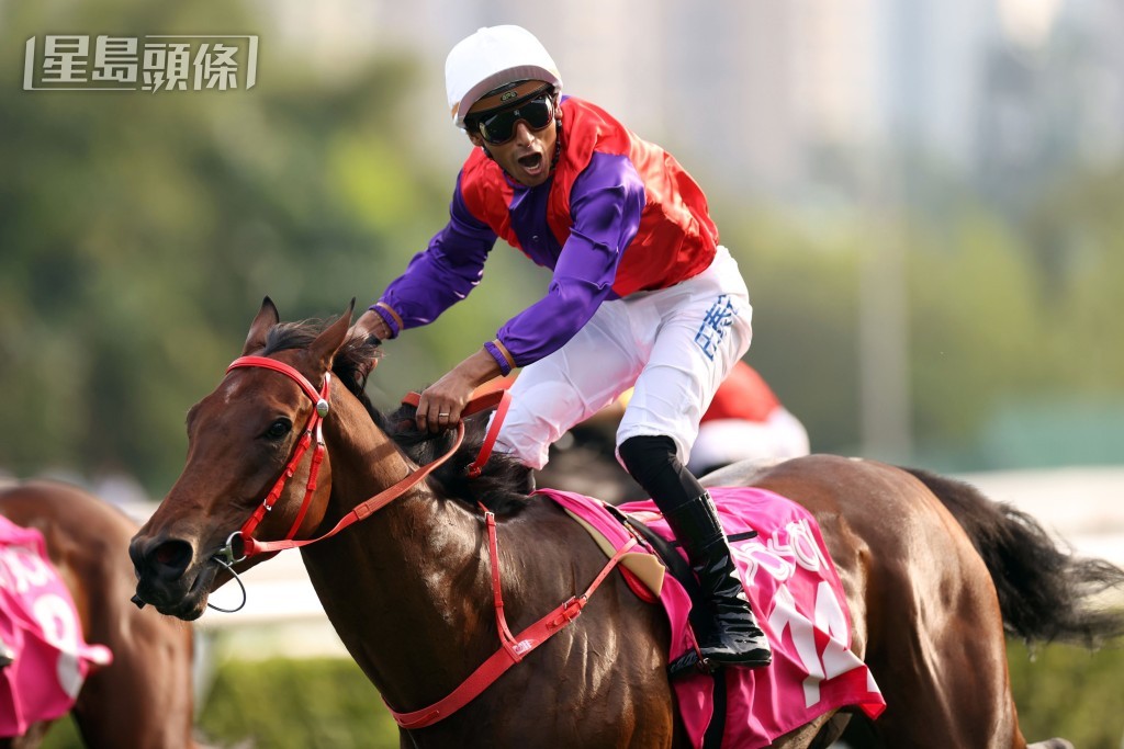 「安騁」攻下莎莎婦女銀袋，冀能進軍浪琴香港國際賽事。