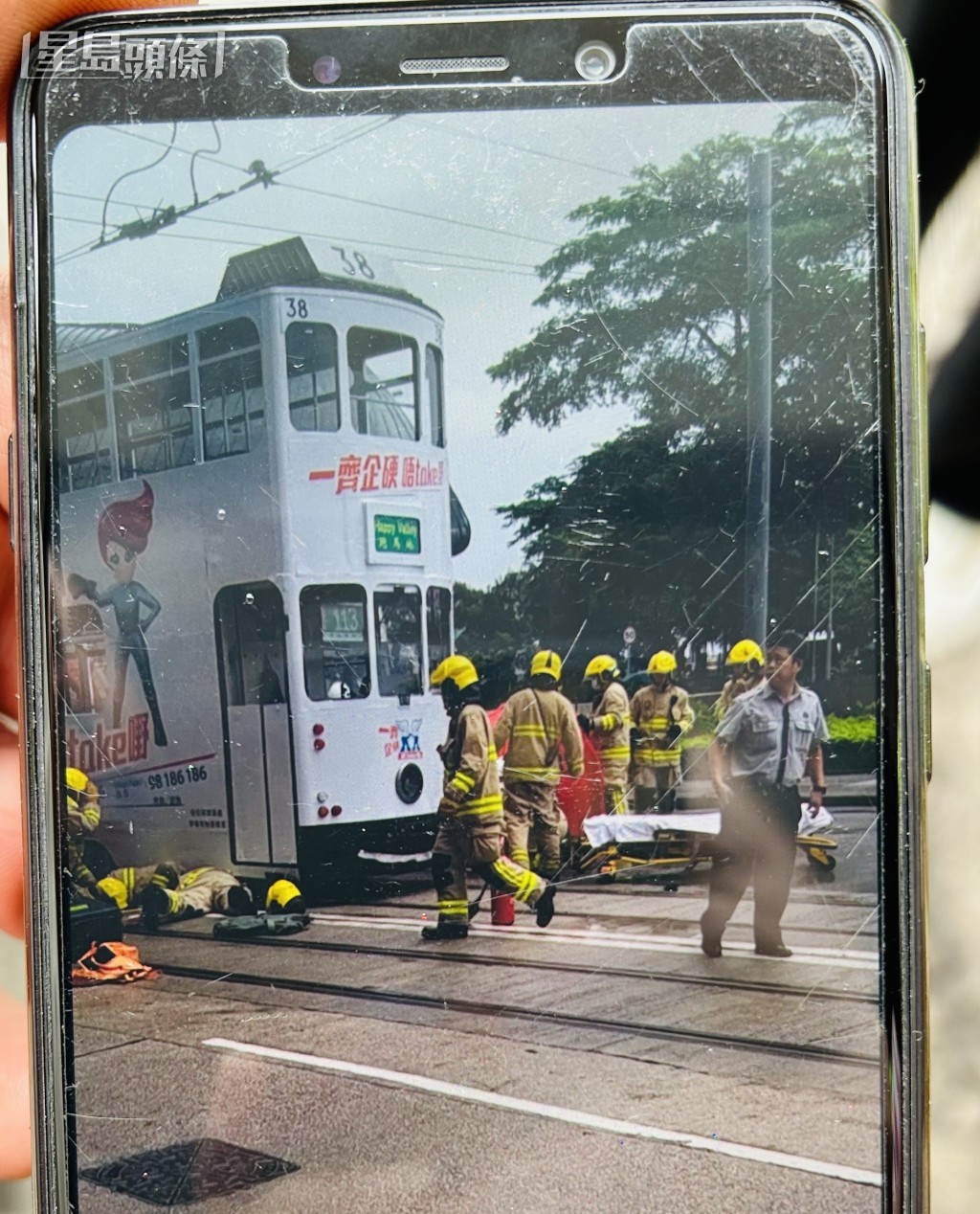 讀者提供圖片 讀者提供圖片