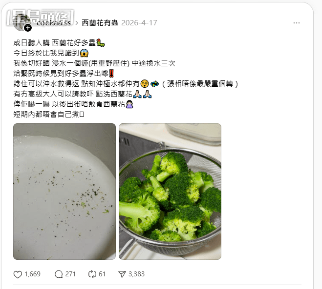 有網民在Threads訴苦,西蘭花灼熟後發現大量「蟲蟲」屍體! 有網民在Threads訴苦,西蘭花灼熟後發現大量「蟲蟲」屍體!