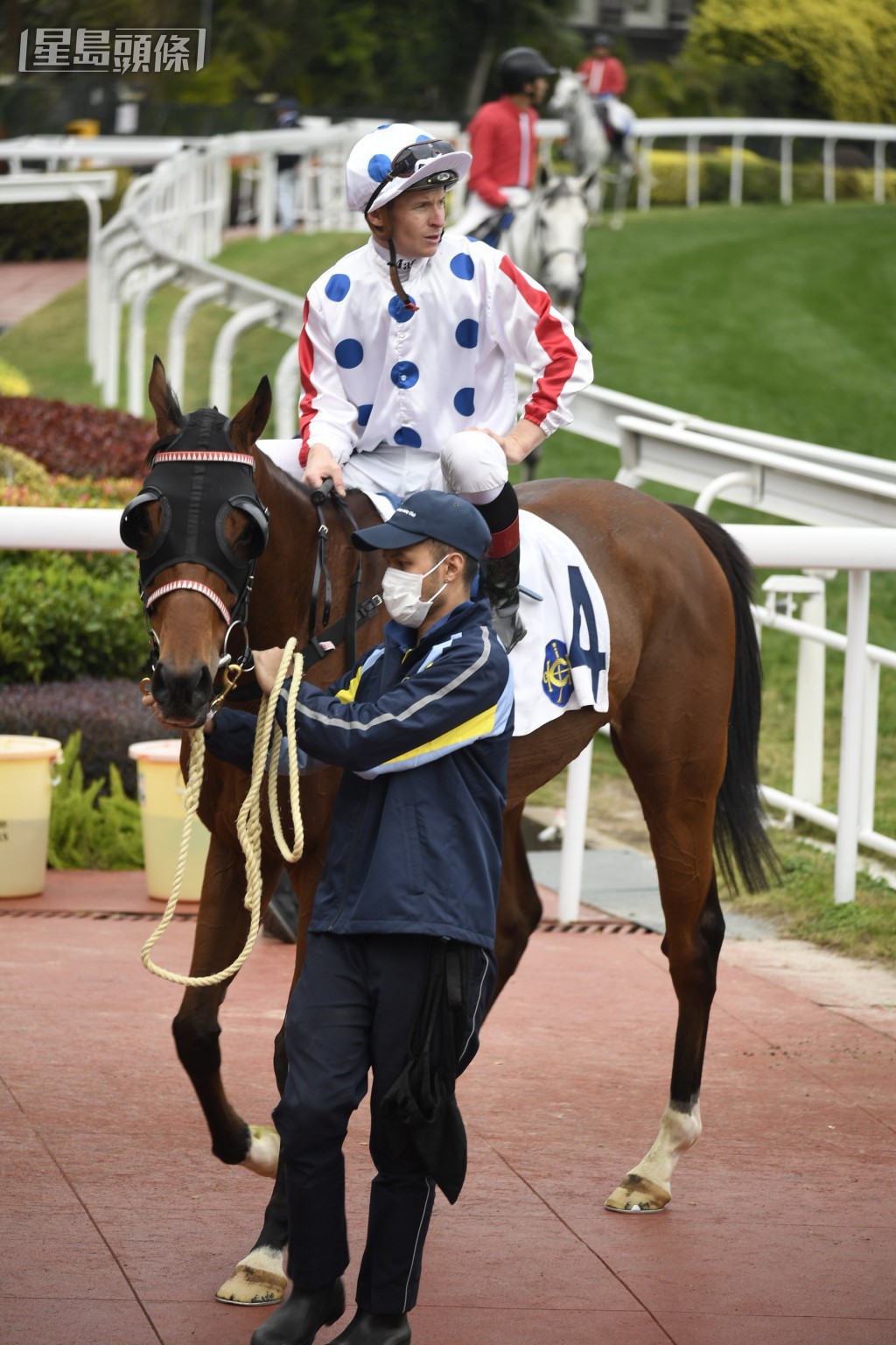 第九場姚廄派出「常拼常勇」(圖)和「自然力量」雙龍出海，其中前駒由麥道朗壓陣。
