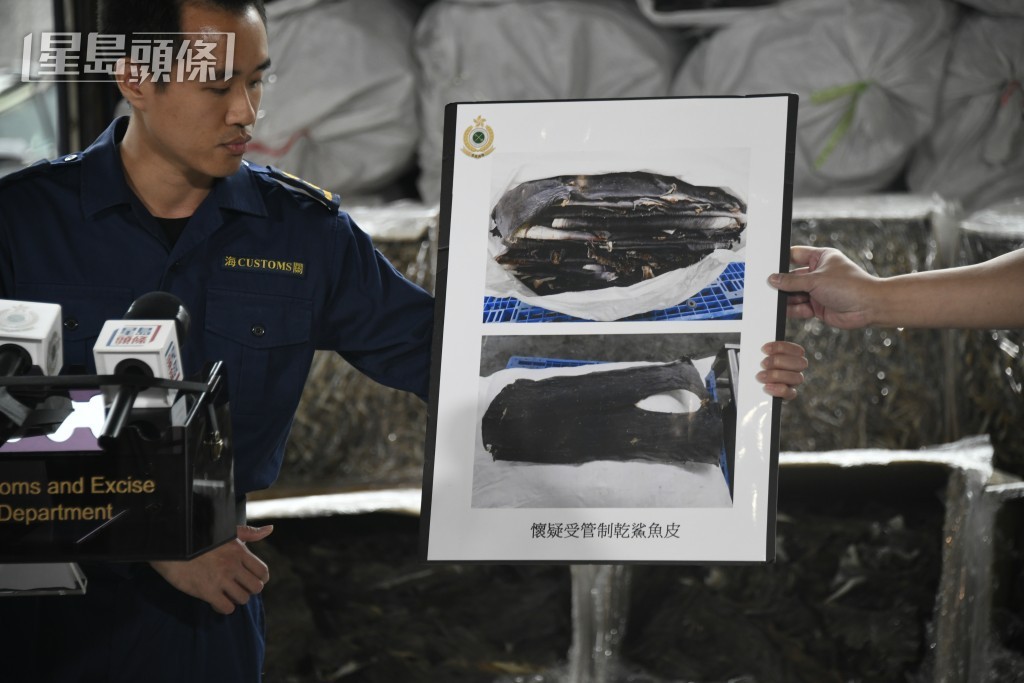 海关港口及海域科货柜货物检查组督察黎子康。杨伟亨摄 海关港口及海域科货柜货物检查组督察黎子康。杨伟亨摄