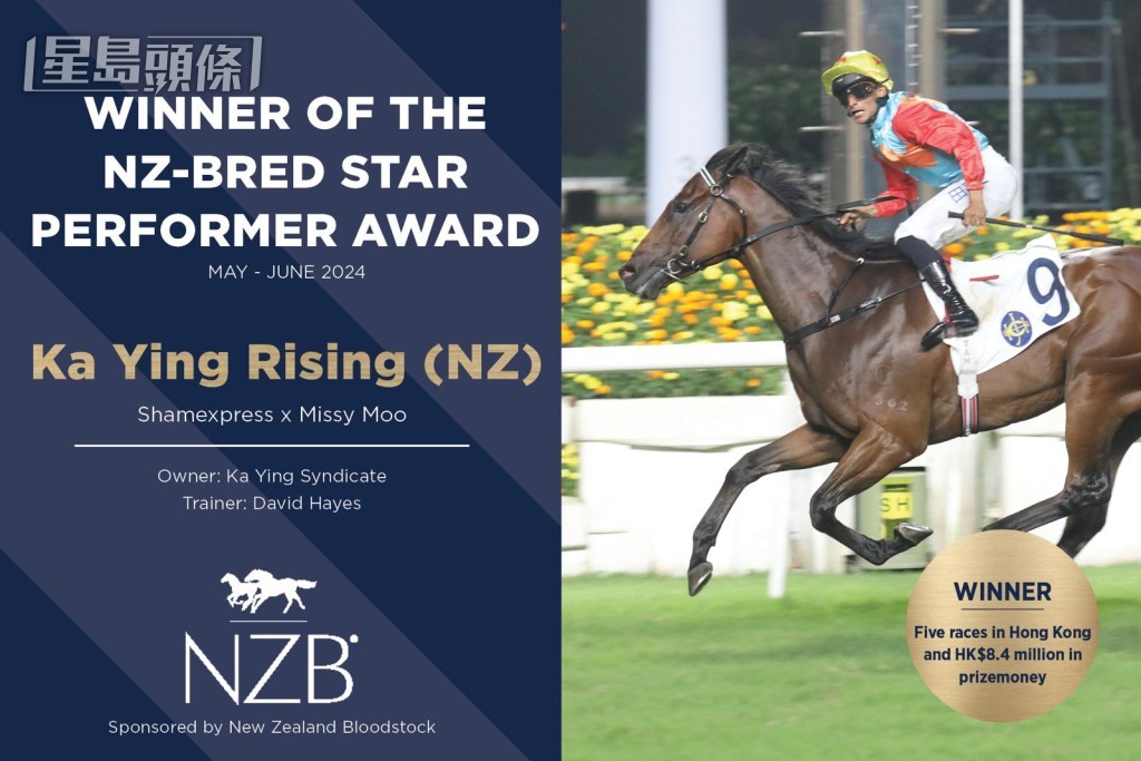  「香港星級紐西蘭賽駒」奬項得主是「嘉應高昇」，馬主為嘉應團體，由練馬師大衞希斯訓練。