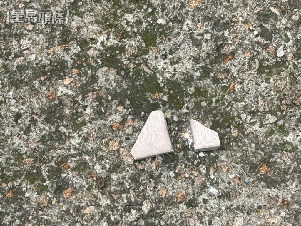 地上遺留細塊碎片。楊偉亨攝 地上遺留細塊碎片。楊偉亨攝