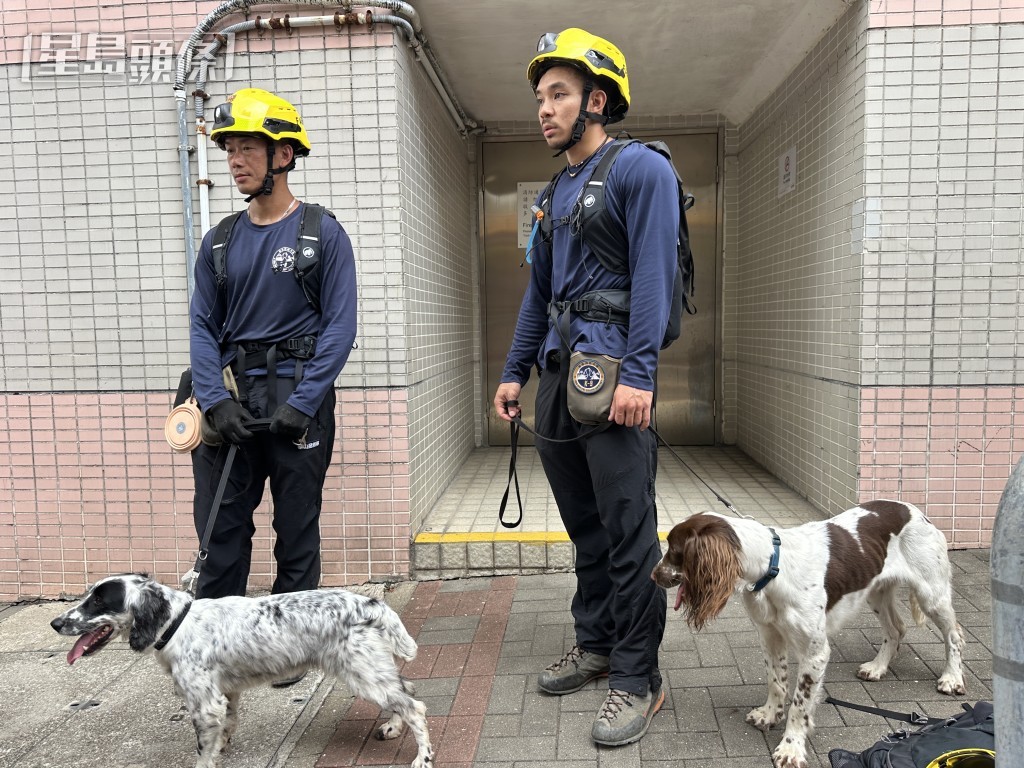 消防曾出動兩隻搜索犬。 消防曾出動兩隻搜索犬。