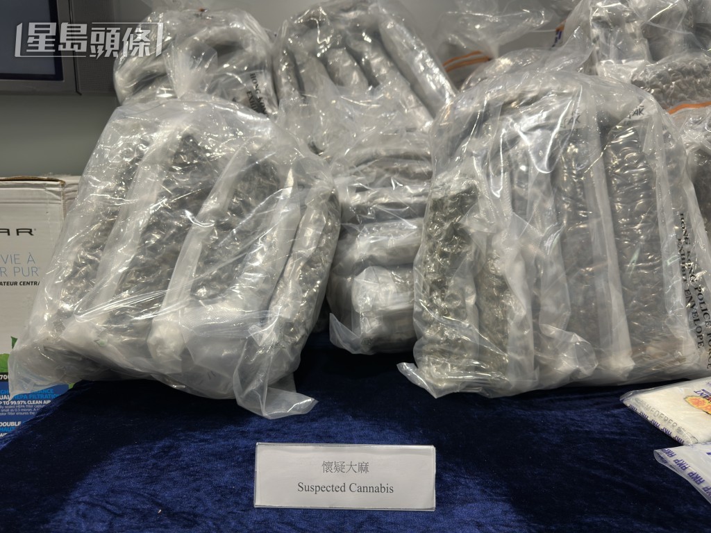 警方檢獲的大麻花。梁國峰攝 警方檢獲的大麻花。梁國峰攝